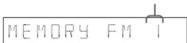SONY MHCS9D - Presetting radio stations - 2