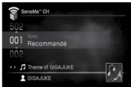 SONY Giga Juke NASSC500PK - Conseils - 1