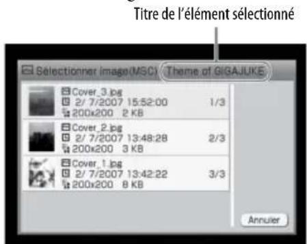 SONY Giga Juke NASSC500PK - Remarque - 2