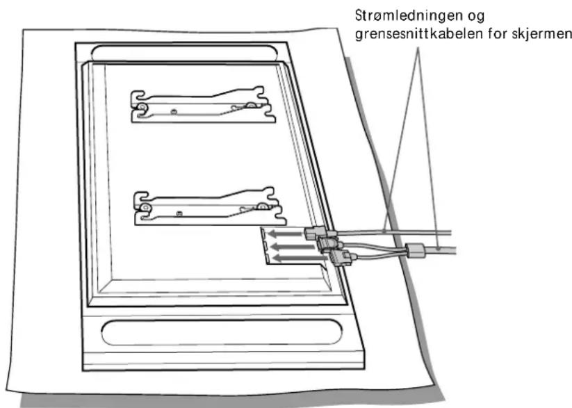 SONY SUPW1 - Tips - 1