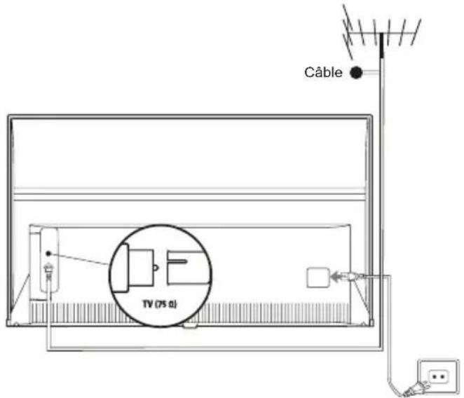 THOMSON 50UG6400 - Branchez l'alimentation et l'antenne - 1