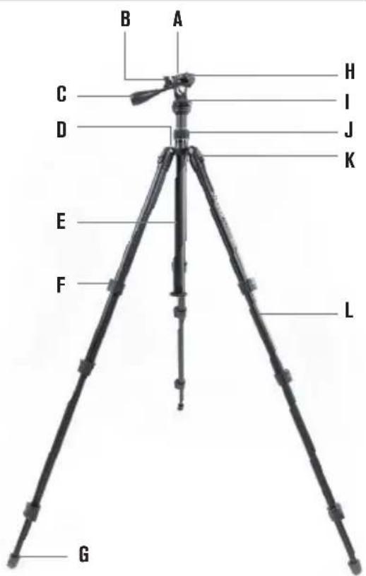 CELESTRON Hummingbird - CARATTERISTICHE - 3