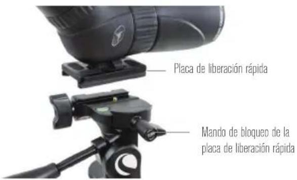 CELESTRON Hummingbird - AJUSTE DE LA COLUMNACENTRAL - 1