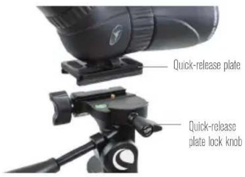 CELESTRON Hummingbird - QUICK-RELEASE PLATE - 1