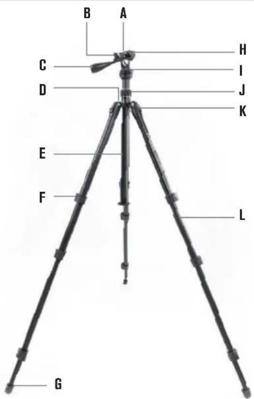 CELESTRON Hummingbird - FEATURES - 3