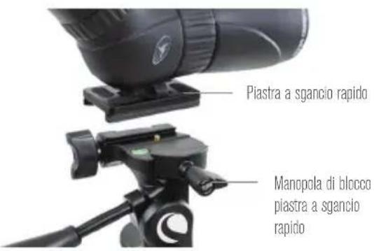 CELESTRON Hummingbird - REGOLAZIONE DELLA COLONNA CENTRALE - 1