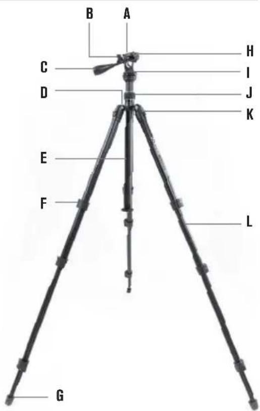 CELESTRON Hummingbird - FUNKTIONSMERKMALE - 3