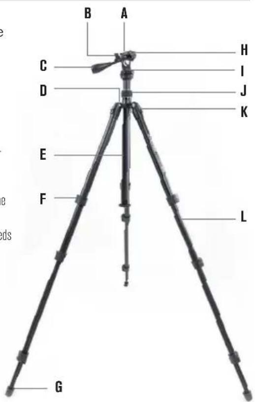 CELESTRON Hummingbird - FONCTIONNALITÉS - 3