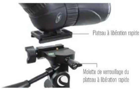 CELESTRON Hummingbird - RÉGLER LA COLONNE CENTRALE - 1