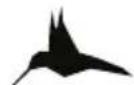 CELESTRON Hummingbird - UTILIZZO DEL TREPPIEDE - 1