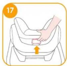 Joie iLevel - Height Adjustment for Head Support and Shoulder Harnesses - 3