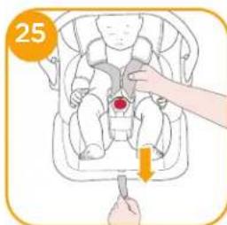 Joie iLevel - Nota - 6