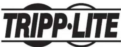 Tripp Lite PS1916D1U - Información de sobre Cumplimiento de la WEEE para Clientes de Tripp Lite y Recicladores (Unión Europea) - 2