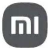 Xiaomi Mi Smart Speaker - 2