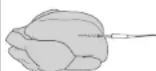 NINJA Foodi max Pro AG651EU - Hel kylling Sett - 1