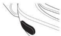 NINJA Foodi max Pro AG651EU - Roast (Cottura arrosto) - 3