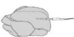 NINJA Foodi max Pro AG651EU - Bistecca - 7