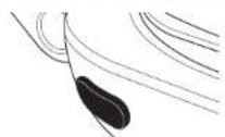 NINJA Foodi max Pro AG651EU - PRE - 4