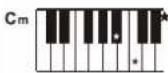 Medeli MK100 - Note: - 6