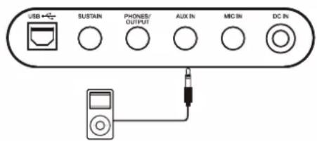 Medeli MK100 - Notes: - 1