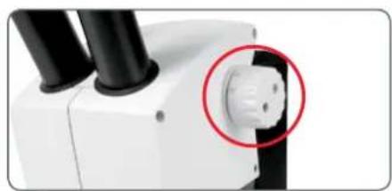 LEICA EZ4 - Mise au point - 1