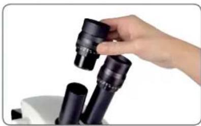 LEICA EZ4 - Insertion des réticules - 3