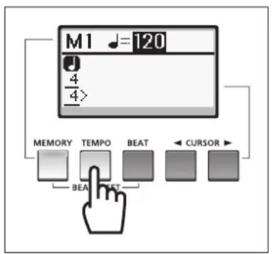 YAMAHA Harmony Director HD200A - Hactpoika Temna - 1