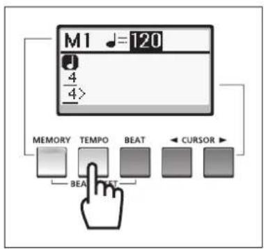 YAMAHA Harmony Director HD200A - 脚印 - 1