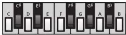 YAMAHA Harmony Director HD200A - Notenauswahltasten - 1