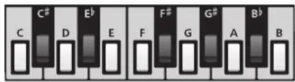 YAMAHA Harmony Director HD200A - Note Select Buttons - 1