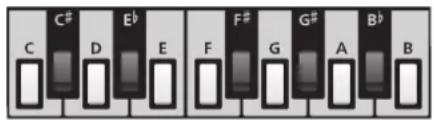 YAMAHA Harmony Director HD200A - Boutons de sélection de note - 1