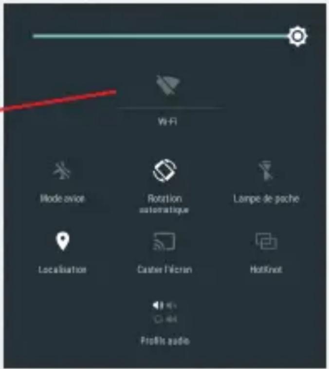 DANEW Dslide 1014 - WiFi - 1