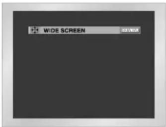 SAMSUNG DVDL70A - If you are using a 4:3 TV - 1
