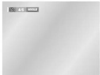 SAMSUNG DVDL70A - I Taste ANGLE verwenden - 1