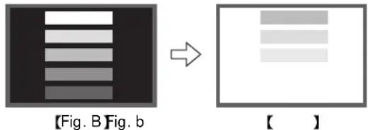 HITACHI CMP420V1 - Image retention characteristics of a plasma display - 2