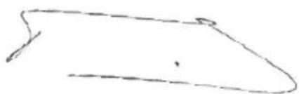 PowerPlus POWXG30412 - CONFORMITEITSVERKLARING - 3