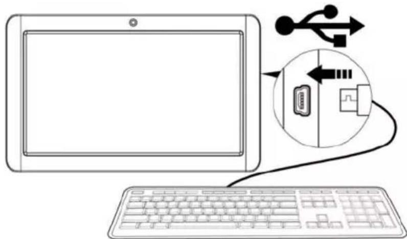 Proscan PLT7035D - Connexion d'un périphérique USB: - 1