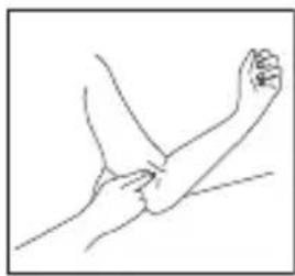 Levita BPM ARM 6331 - Anlagen der Manschette - 1