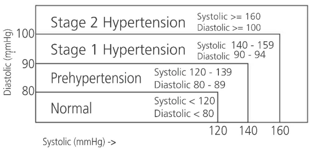 Levita BPM ARM 6331 - Blood Pressure Standard - 1