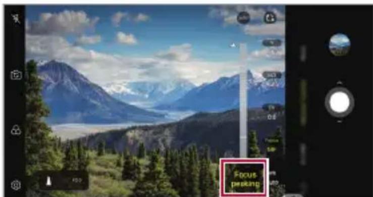 LG LMG810EAW - Focus peaking - 2