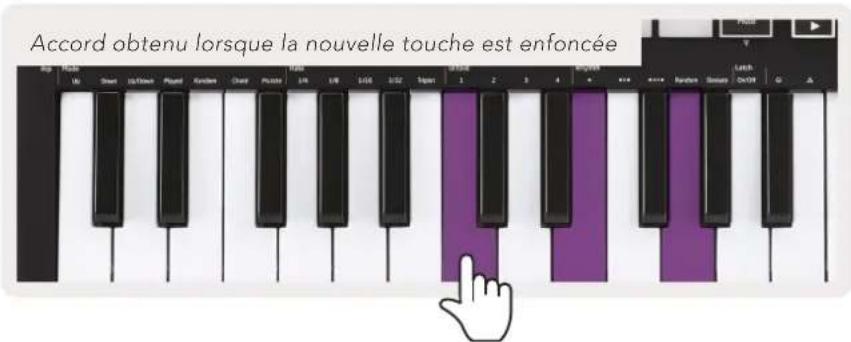 NOVATION Launchkey Mini MK3 - Accord fixe (« Fixed Chord ») - 3