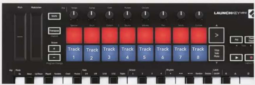 NOVATION Launchkey Mini MK3 - Configuration - 2