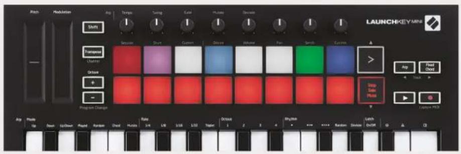 NOVATION Launchkey Mini MK3 - Stop, Solo, Mute - 2