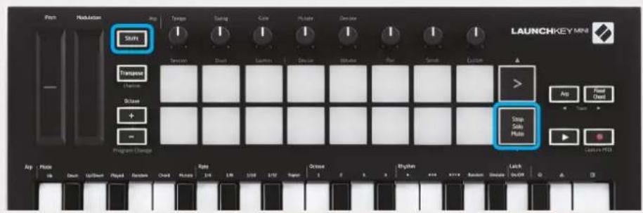 NOVATION Launchkey Mini MK3 - Mode Session - 11