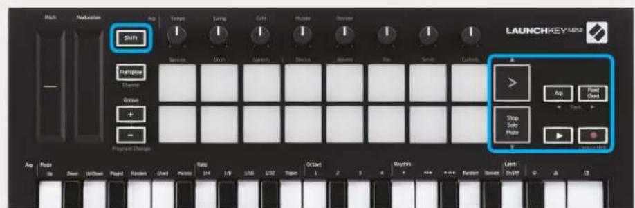 NOVATION Launchkey Mini MK3 - Mode Session - 9