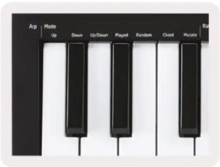 NOVATION Launchkey Mini MK3 - Modes arpégiateur (« Arp Modes ») - 1