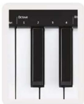 NOVATION Launchkey Mini MK3 - Octaves de l'arpégiateur (« Arp Octaves ») - 1