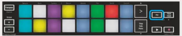 NOVATION Launchkey Mini MK3 - Arpégiateur (« Arp ») - 1