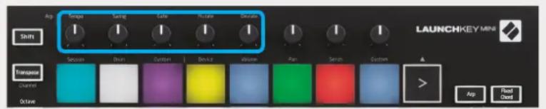NOVATION Launchkey Mini MK3 - Boutons rotatifs de l'arpégiateur - 1