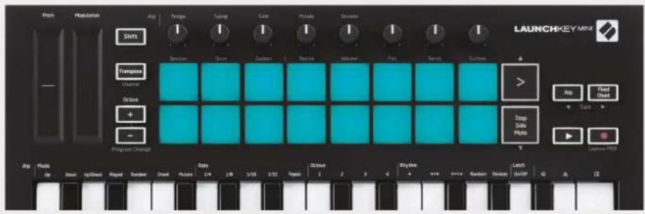 NOVATION Launchkey Mini MK3 - Jouer et enregistrer de la batterie - 2